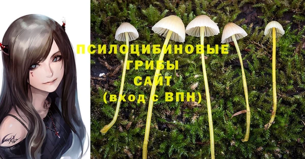 метадон Аркадак