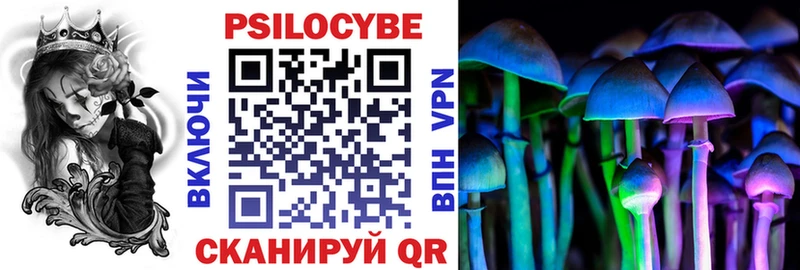 магазин    Белёв  Галлюциногенные грибы Cubensis 